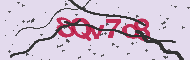 Code captcha
