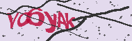 Code captcha