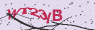 Code captcha