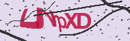 Code captcha