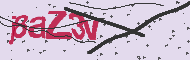 Code captcha