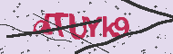 Code captcha