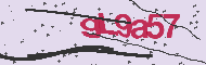 Code captcha